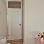 Loncar Posusje